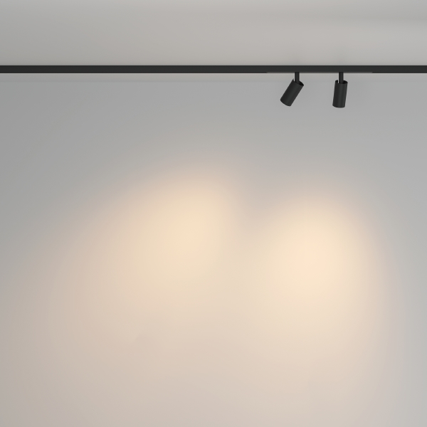 Трековый светильник Focus Duo TR176-1-2X3WTW-M-B