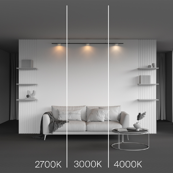 Трековый светильник Zon TR189-1-12W2.7K-BW