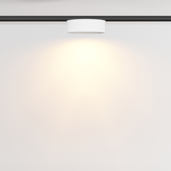 Трековый светильник Zon TR189-1-12W2.7K-BW