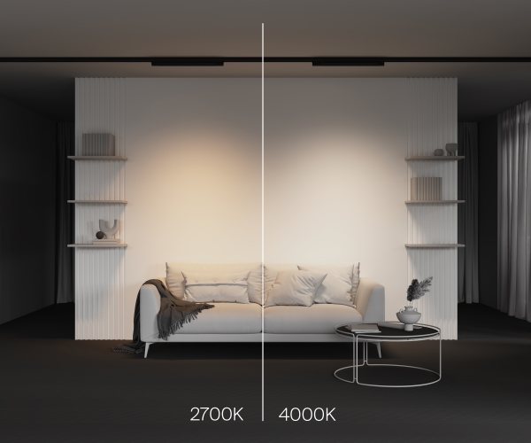 Трековый светильник Basis TR196-3-20W2.7K-B