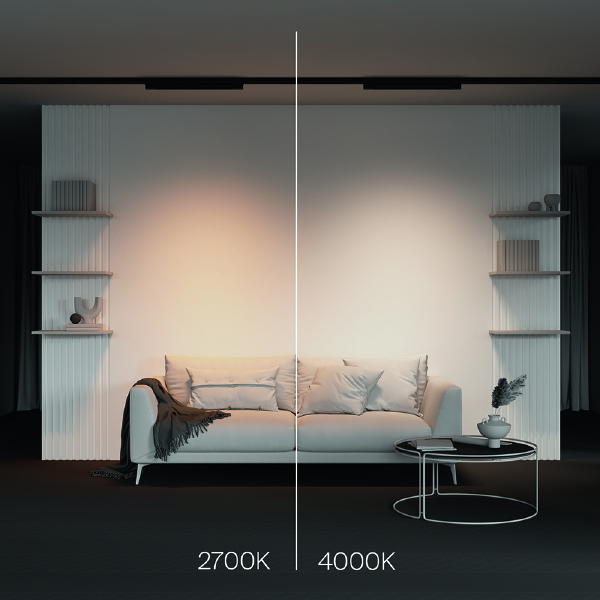 Трековый светильник Basis TR196-3-20W2.7K-B