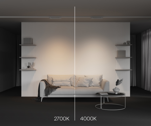 Трековый светильник Basis TR196-3-10W2.7K-W