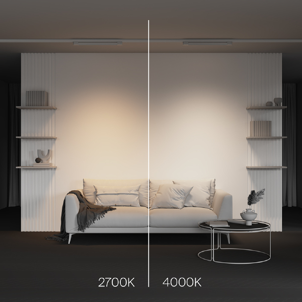 Трековый светильник Basis TR196-3-20W2.7K-W