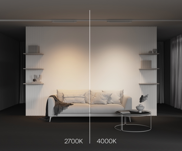 Трековый светильник Basis TR196-3-20W2.7K-W