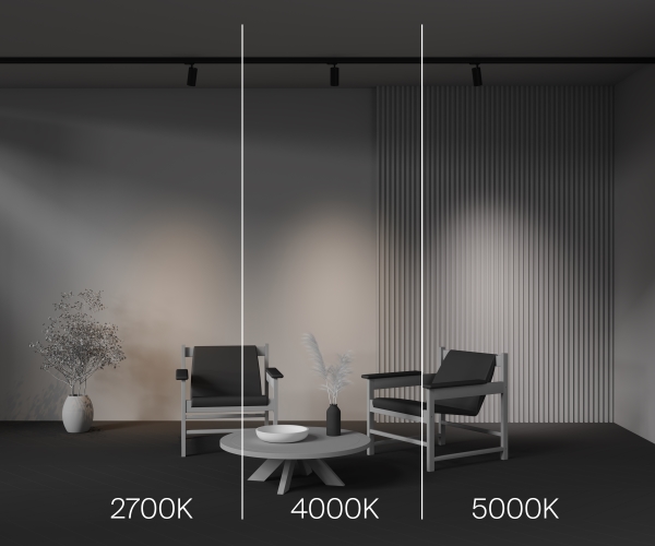 Трековый светильник Focus Led TR197-3-12WCCT-M-B