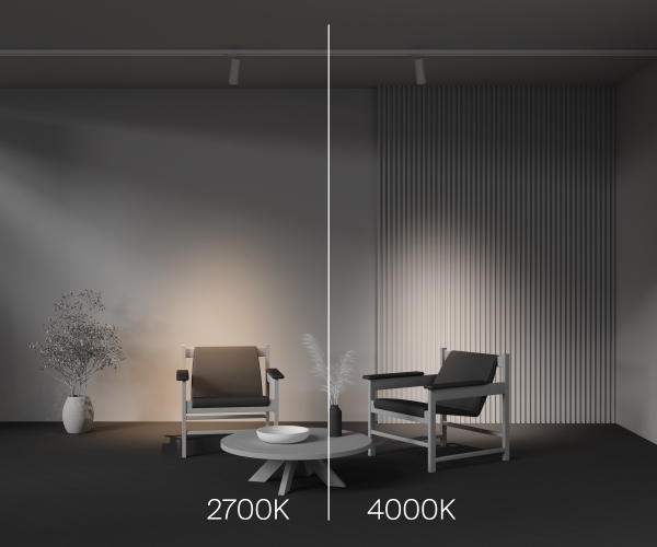 Трековый светильник Focus Zoom TR198-3-20W2.7K-Z-W