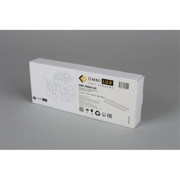 Настенный светильник Rugliana OML-09801-05