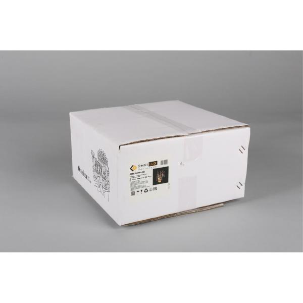 Настенное бра Batelli OML-52901-02