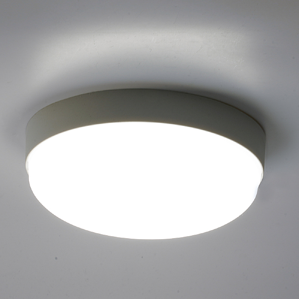 Светильник потолочный Светодиодный светильник серии TR ЖКХ Круг 18Вт, 4000К, опал, IP65 51513