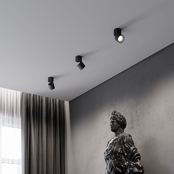 Накладной светильник Rolly 25112/LED 9W 4000K черный