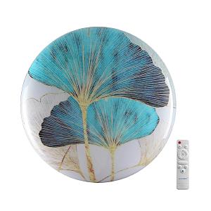 Настенно потолочный светильник Floren 7747/EL