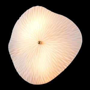 Настенный светильник Contessa CONTESSA AP2.2