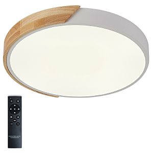 Светильник потолочный Scandinavian LED LAMPS 81181