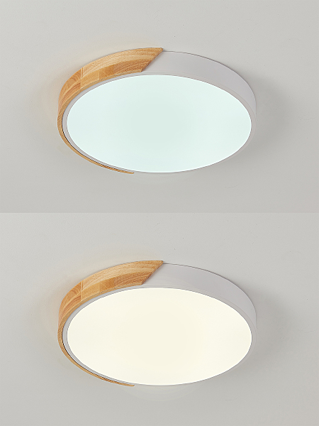 Светильник потолочный Scandinavian LED LAMPS 81181