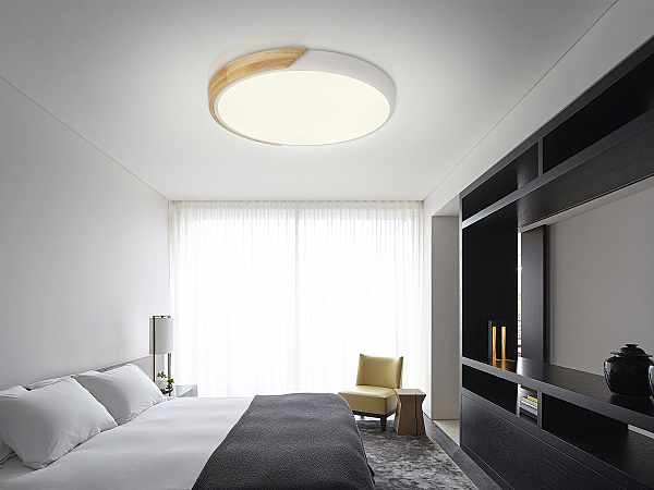 Светильник потолочный Scandinavian LED LAMPS 81181