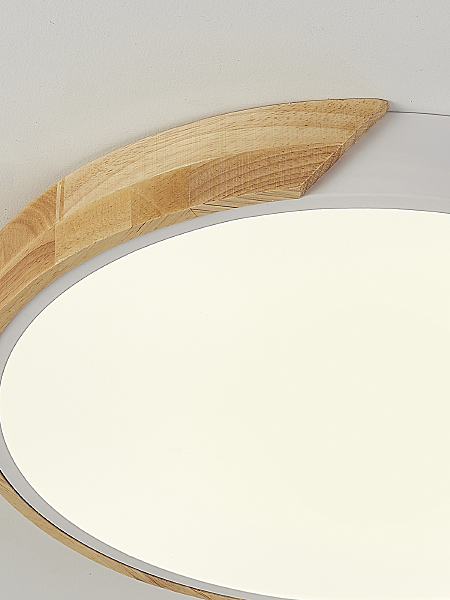 Светильник потолочный Scandinavian LED LAMPS 81181
