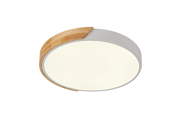 Светильник потолочный Scandinavian LED LAMPS 81181