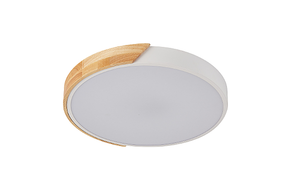 Светильник потолочный Scandinavian LED LAMPS 81181