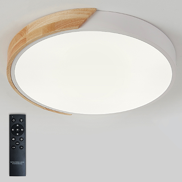 Светильник потолочный Scandinavian LED LAMPS 81181