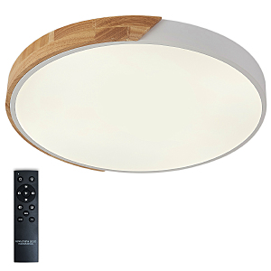 Светильник потолочный Scandinavian LED LAMPS 81182