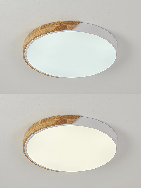 Светильник потолочный Scandinavian LED LAMPS 81182