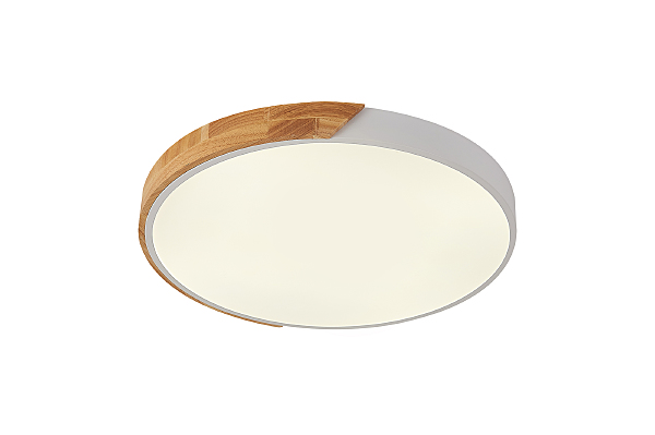 Светильник потолочный Scandinavian LED LAMPS 81182