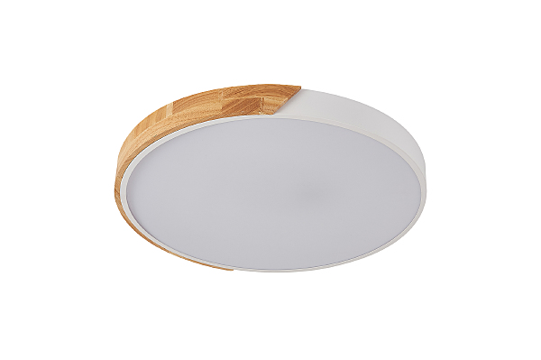 Светильник потолочный Scandinavian LED LAMPS 81182