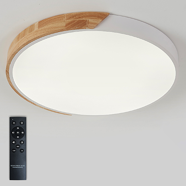Светильник потолочный Scandinavian LED LAMPS 81182