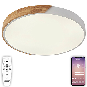 Светильник потолочный Scandinavian LED LAMPS 81182