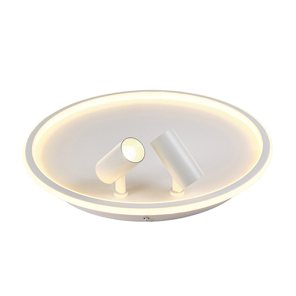 Светильник потолочный Focus MR9050-CL