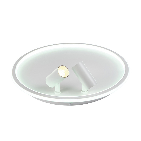 Светильник потолочный Focus MR9050-CL