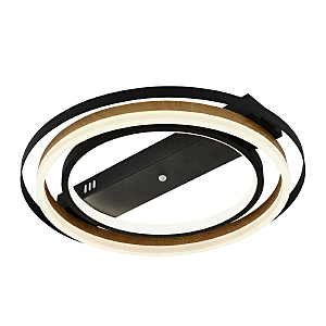 Потолочная люстра Lagom 10247/2LED