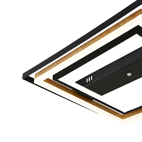 Потолочная люстра Lagom 10249/2LED