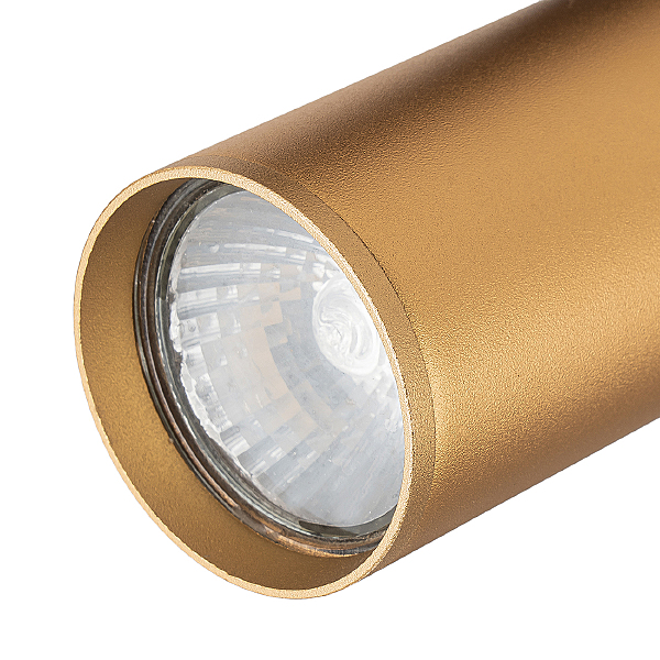 Трековый светильник 20001 20001TRA/01 BR