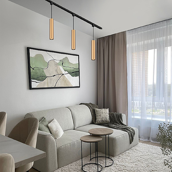 Трековый светильник 20001 20001TRP/01 BR