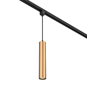 Трековый светильник 20001 20001TRP/01 BR