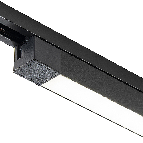 Трековый светильник 20001 20001TRU/02LED SBK