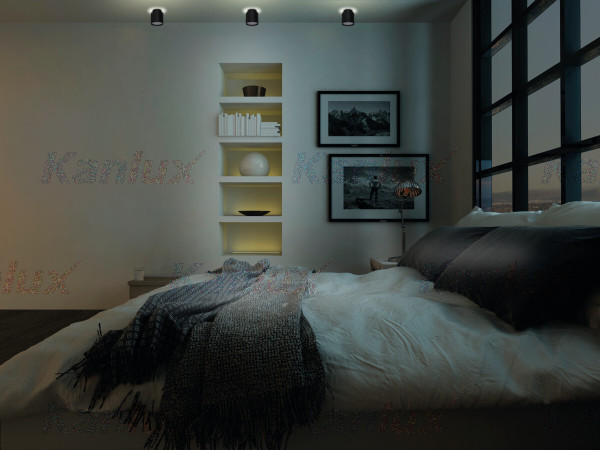 Накладной светильник Sonor 24362