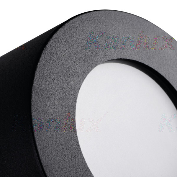 Накладной светильник Sani 29240