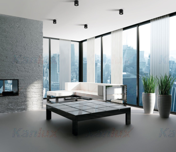 Накладной светильник Toleo 26110