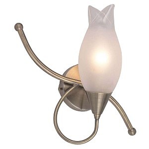 Бра Odeon Light  AMMANIA 1319/1W