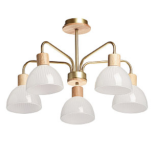 Потолочная люстра Dela 635016405