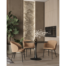 Обеденный стул Stool Group LV-104-H65-02-01(P)