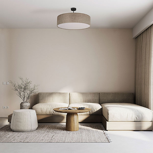 Светильник потолочный Rondo 6248 Rondo Linen