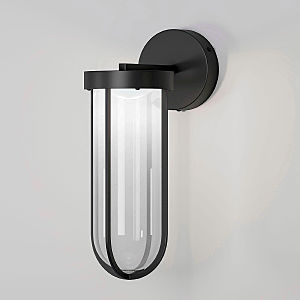 Уличный настенный светильник Ritz Ritz (35183/D) черный