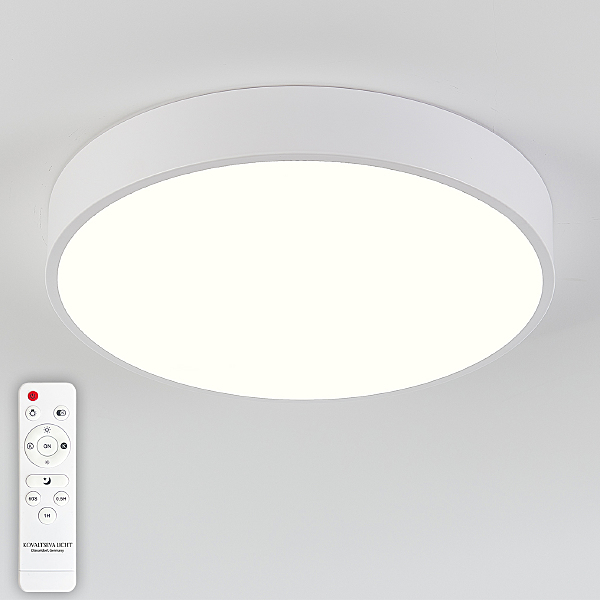 Светильник потолочный Natali Kovaltseva LED LAMPS 81111/5C