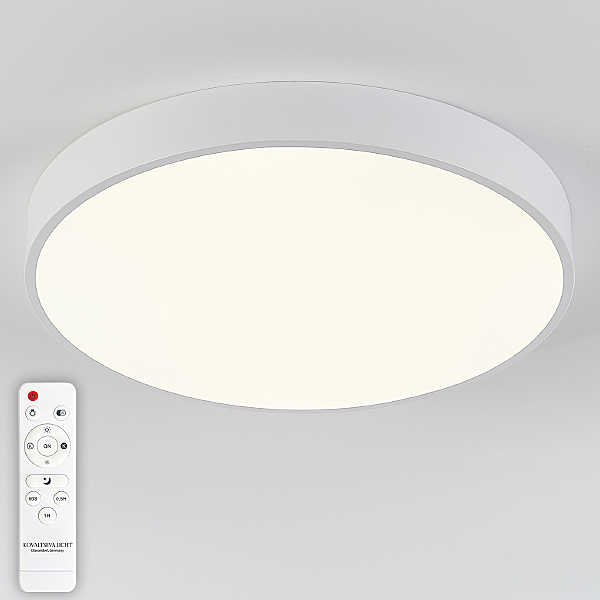 Светильник потолочный Natali Kovaltseva LED LAMPS 81112/5C