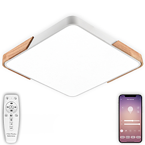 Светильник потолочный Natali Kovaltseva LED LAMPS 81411