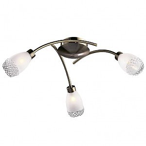 Потолочная люстра Lerta 1803/3C