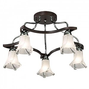 Потолочная люстра Iwo 2237/5C